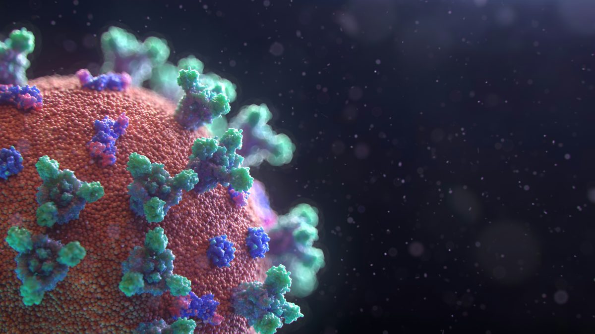 La pandemia por el coronavirus produjo la muerte de más de 7 millones de personas en el mundo