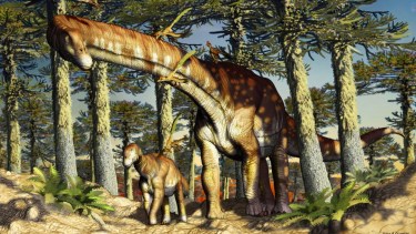 Hace 140 millones de años, el territorio actual de Neuquén estaba habitado por de dinosaurios de diferentes tamaños. Crédito: Jorge A. González / Fundación Azar
