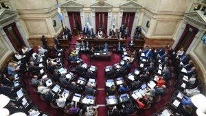 Video: el Senado rechazó el DNU de Milei, pero seguirá vigente hasta el debate en Diputados