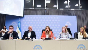 Fórmula jubilatoria: Diputados comenzó el debate en comisión, con fuertes críticas al Gobierno