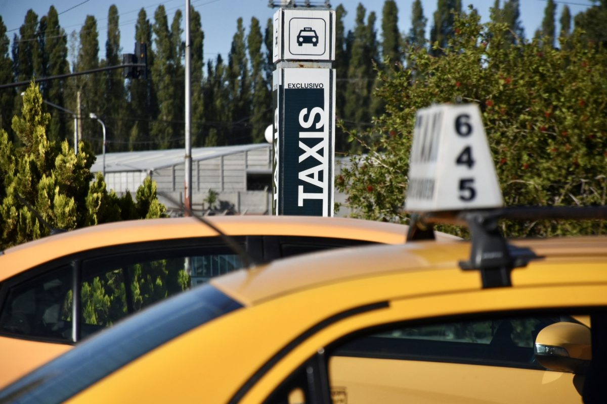 Taxistas buscan obtener una prorroga en las licencias. (Foto: Matías Subat)