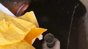 Hasta 2020 se colocaban unos dispositivos de oviposturas a fin de captar larvas o huevos en lugares estratégicos. Foto: gentileza