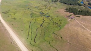 Así trabajan los ganaderos de Neuquén para recuperar los campos arrasados por el sobrepastoreo
