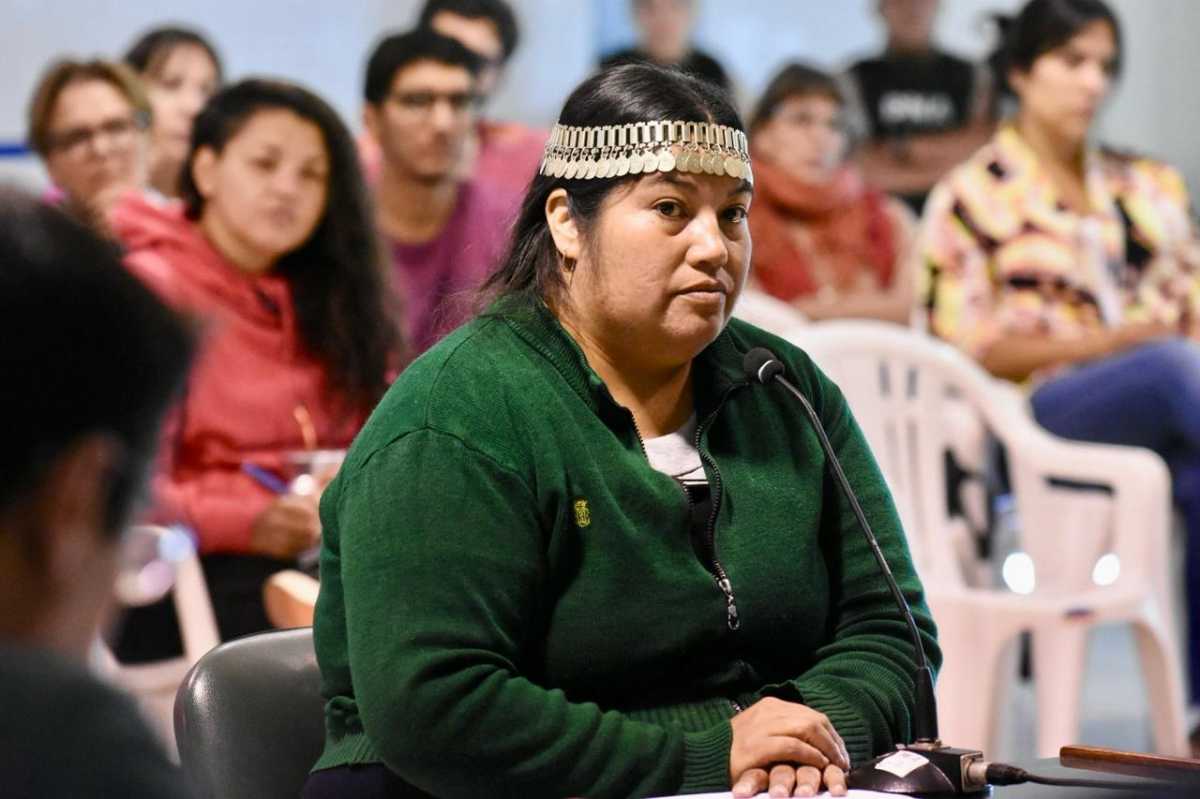 La Longko Cecilia Maliqueo acusó a Duarte de haberse apropiado con argucias de las tierras de la comunidad en la cordillera (Matías Subat) 