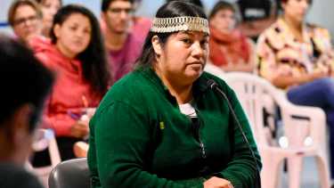 La Longko Cecilia Maliqueo acusó a Duarte de haberse apropiado con argucias de las tierras de la comunidad en la cordillera (Matías Subat) 