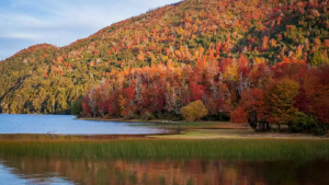 Cuándo es el equinoccio de otoño 2024
