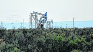 Vaca Muerta: Capex obtuvo un nuevo hito en su proyecto shale