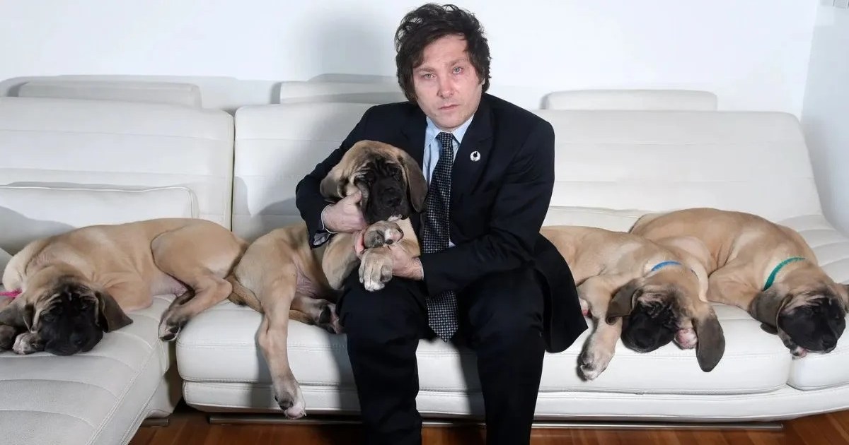Javier Milei contó que ver a sus perros mastines es su «forma de relajarse» desde que es presidente thumbnail
