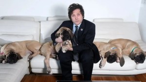 Javier Milei contó que ver a sus perros mastines es su «forma de relajarse» desde que es presidente