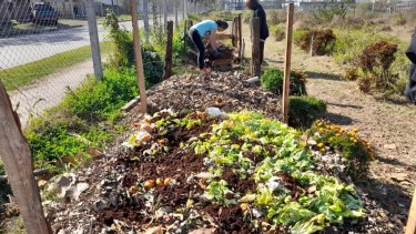 Mes del compostaje: una oportunidad para adoptar el hábito que puede reducir un 50% los residuos