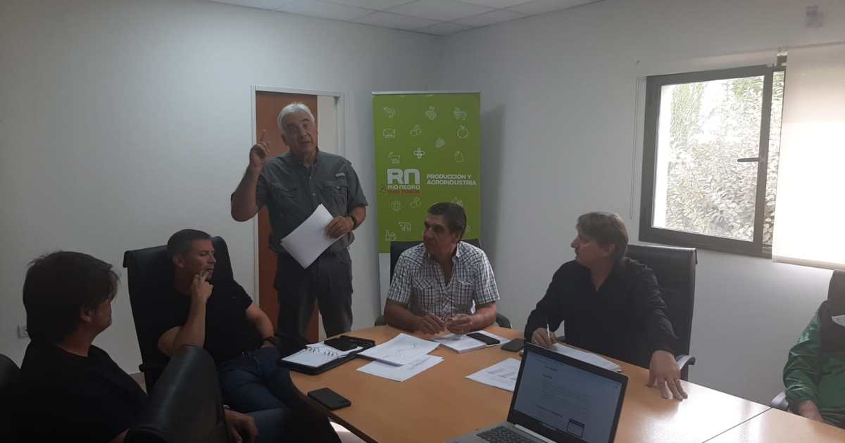 Empresarios de Río Negro piden frenar el nuevo aumento de tarifas que pidió Edersa thumbnail