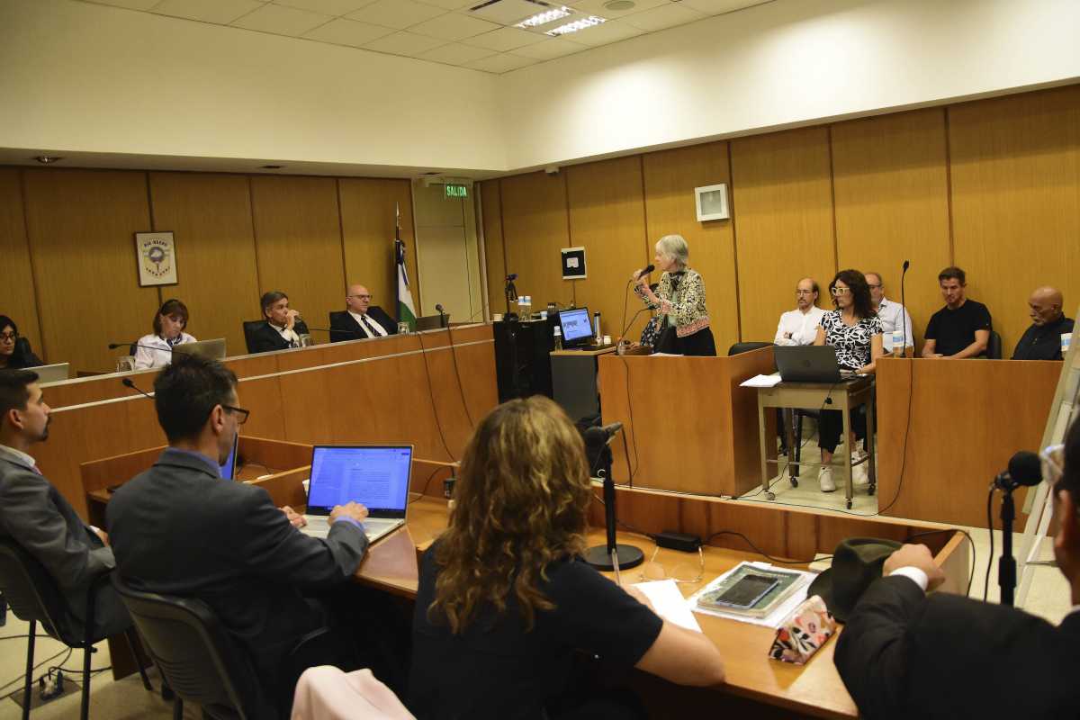 El alegato de Patricia Espeche marcó el cierre del juicio en Roca. Se realizaron 94 audiencias desde el 27 de junio del año pasado. (Foto: Andrés Maripe)
