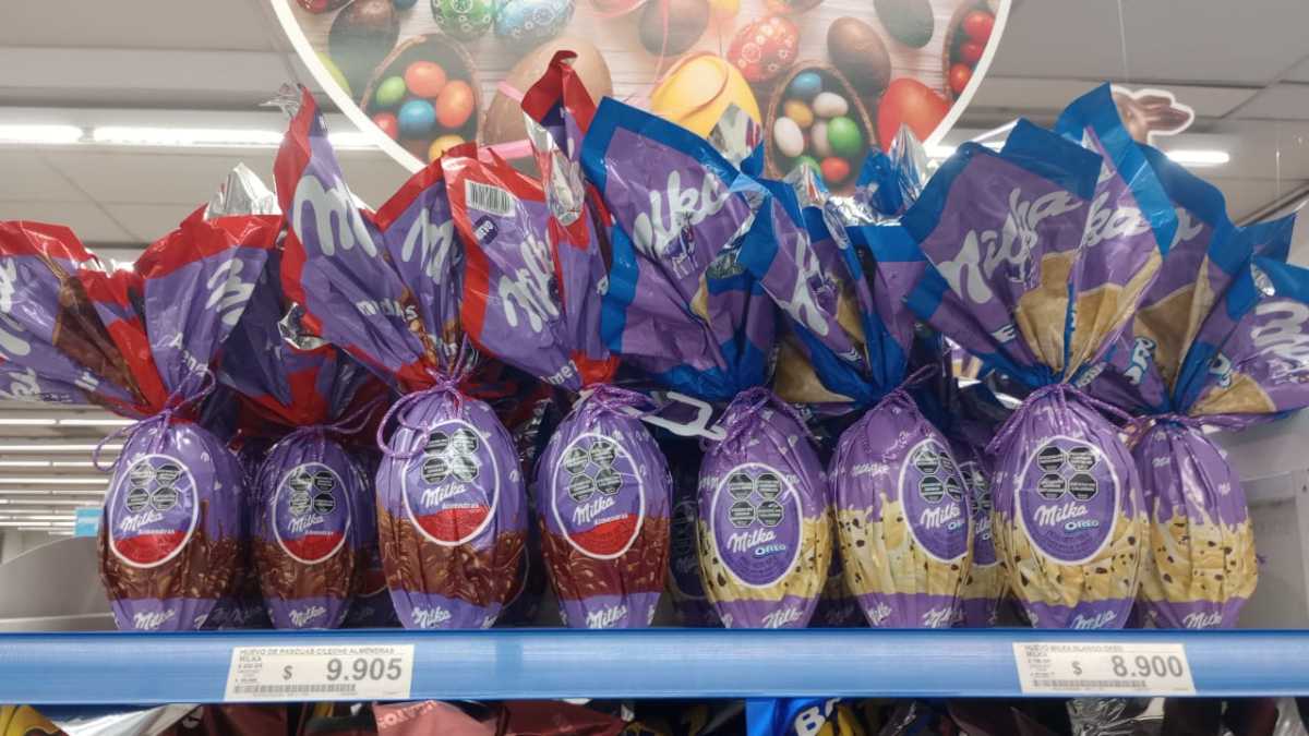 Inspeccionaban huevos de Pascua y detectaron irregularidades en varios supermercados de Neuquén Foto: Juan Thomes