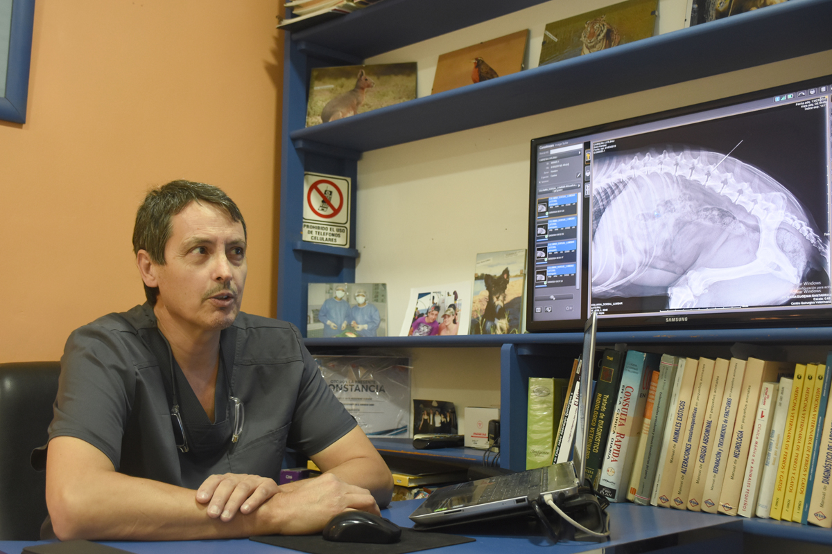 Marcelo Miserendino, cirujano veterinario. foto: Juan Thomes