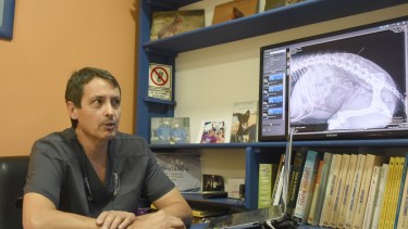 Marcelo Miserendino, cirujano veterinario. foto: Juan Thomes