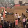 Imagen de Protesta en La Rural: jinetes echaron a activistas veganos a golpes, en medio una exposición de caballos