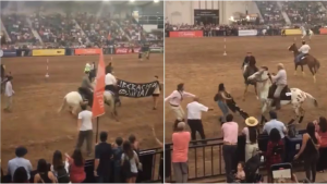 Protesta en La Rural: jinetes echaron a activistas veganos a golpes, en medio una exposición de caballos