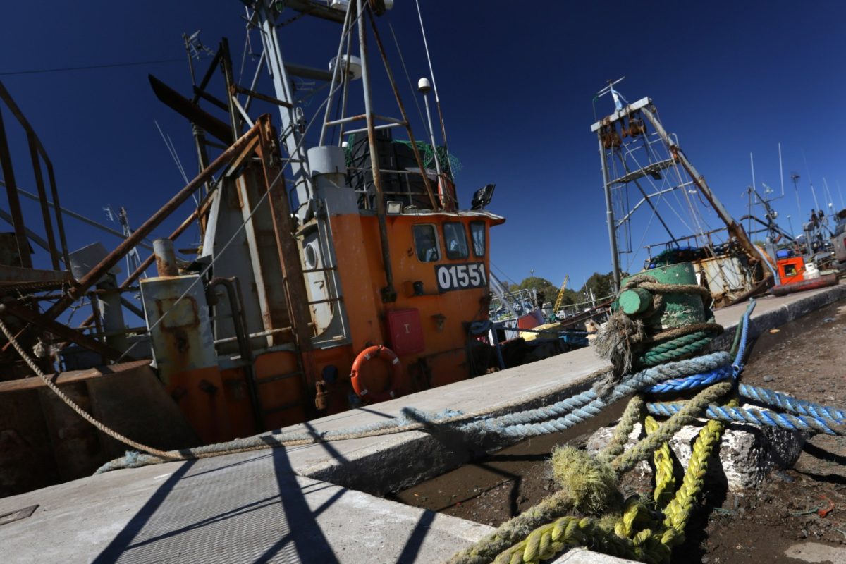 Restricciones. Limitarán las salidas diarias de barcos para pesca en el golfo San Matías. Foto: archivo.
