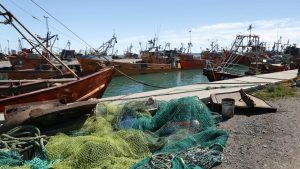 Establecerán vedas para la pesca marítima en Río Negro y se profundiza la crisis del sector