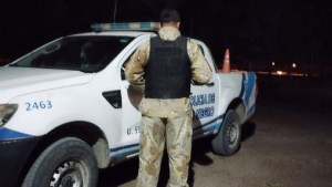 Intento de abigeato en Viedma: prisión preventiva para un hombre