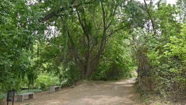 Apareció muerto en el río un hombre que era intensamente buscado en Neuquén