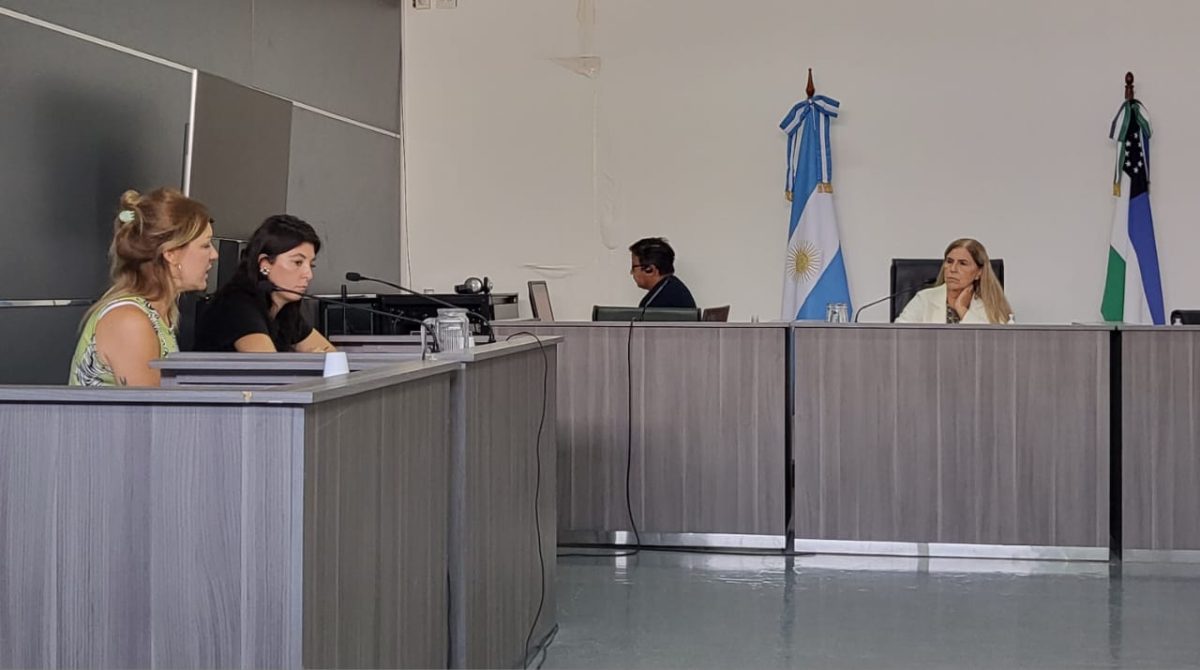 La audiencia de formulación de cargos se hizo el viernes y la dirigió la jueza Rita Lucía de Cipolletti., (foto gentileza)