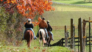 6 actividades para hacer en El Bolsón en Semana Santa y divertirte a pleno en este paraíso