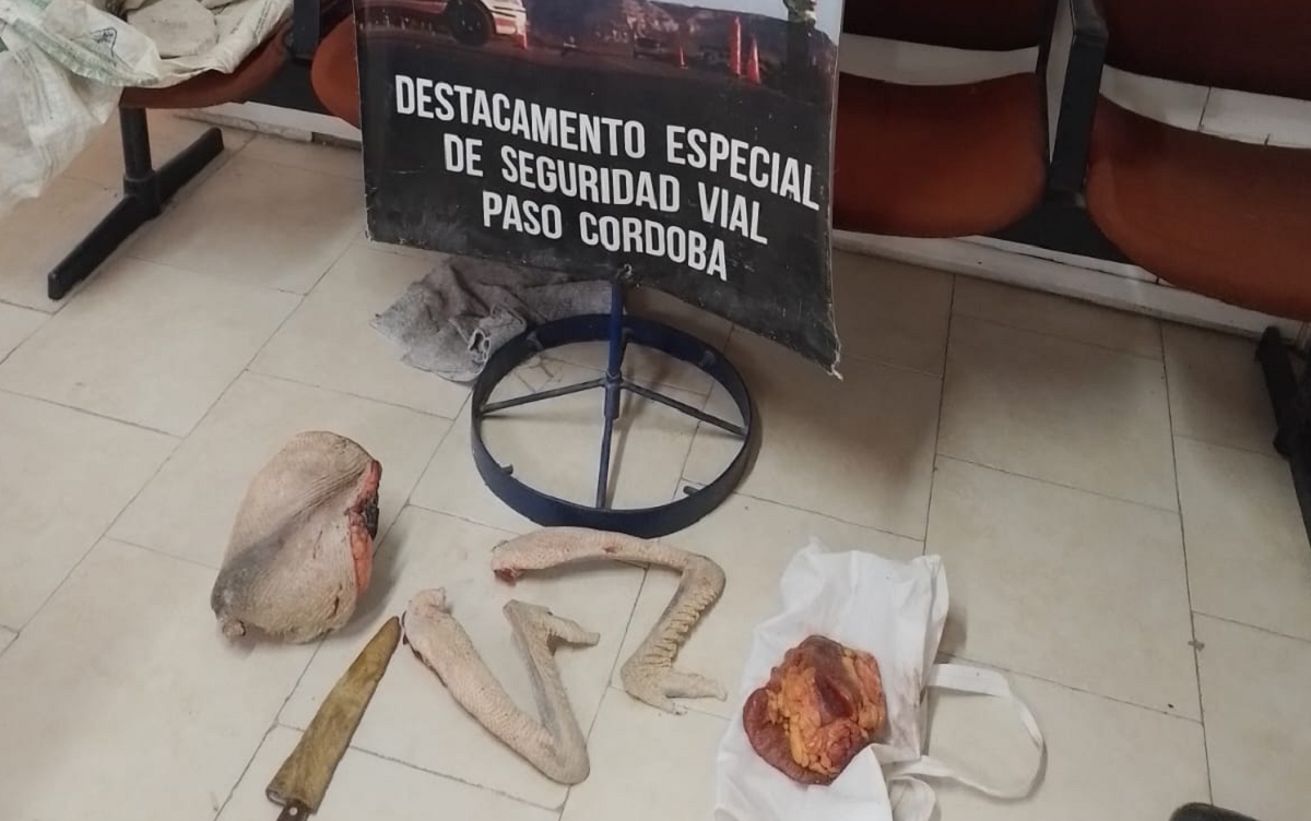 La carne de choique también fue secuestrada por el personal de la policía de Río Negro. foto: gentileza