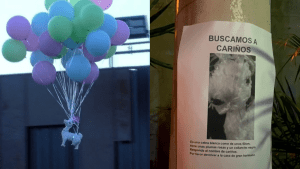 Y se marchó: La «cariño» dejó la casa de Gran Hermano y los furiosos la buscaron desesperados