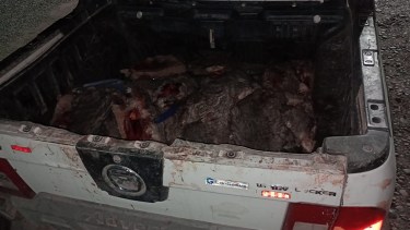 Ambas personas se trasladaban en una camioneta y fueron detenidos por efectivos de la Brigada Rural en la zona conocida como "La Cuchilla" de Viedma.