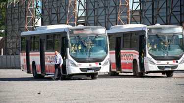 Aseguran el servicio de colectivos en Neuquén y Río Negro