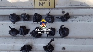 Un perro impidió la venta de cocaína en una plaza de Neuquén