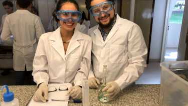 Fascinantes fotografías microscópicas en Bariloche: pareja de la UNCo ganó tres premios