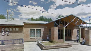 Video | Invasión de murciélagos en una escuela de Neuquén: «Son un montón»