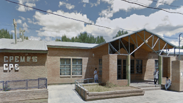 Video | Invasión de murciélagos en una escuela de Neuquén: «Son un montón»