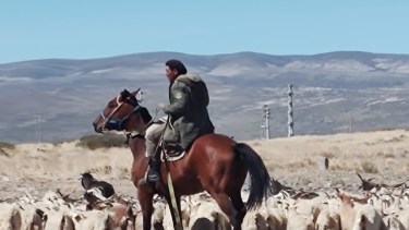 Comenzó el otoño y regaló las primeras imágenes de una adelantada invernada en Neuquén 