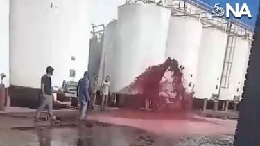 15.000 litros de vino se perdieron por un insólito error en una bodega de Mendoza