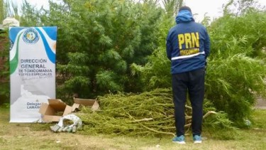 La Policía realizó una serio de allanamientos en Lamarque. 