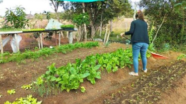 Cambio de estación: entregarán semillas para huertas familiares en Choele Choel