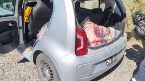Decomisaron 630 kilos de carne que se encontraba sin cadena de frío, en Catriel