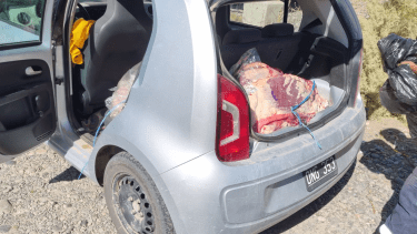 Decomisaron 630 kilos de carne que se encontraba sin cadena de frío, en Catriel