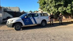 Secuestraron droga valuada en más de 30 millones de pesos tras un allanamiento en San Antonio