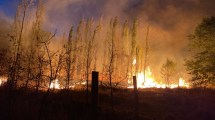 Imagen de Voraz incendio en chacra de Transmarítima, sobre Ruta 151 en Cinco Saltos: el fuego está extinto
