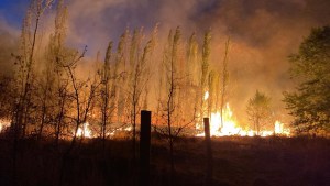 Voraz incendio en chacra de Transmarítima, sobre Ruta 151 en Cinco Saltos: el fuego está extinto