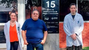 Detectan compuestos no tóxicos para humanos que repelen a las cucarachas