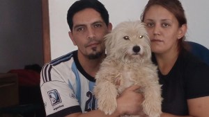 Amor en cuatro patas: un perro ayudó a su hijo con autismo y ahora ella se dedica a salvarlos