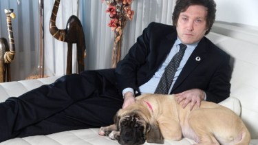El paradero de los cuatro perros mastines de Javier Milei es un misterio.-