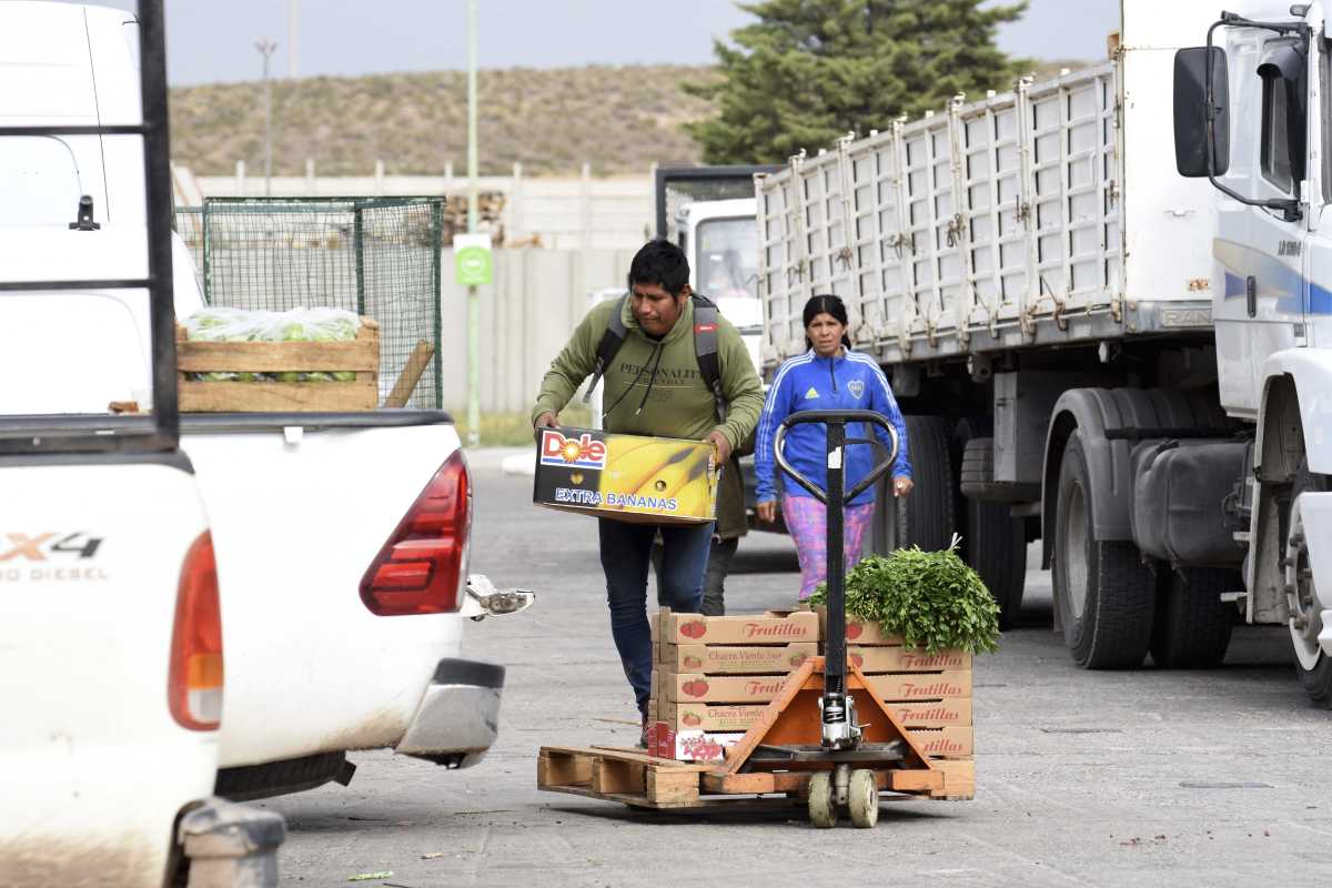 El 70% de la producción de fruta y verdura que se consume en Neuquén viene de otras provincias y del exterior (Matías Subat)