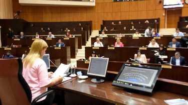Gloria Ruiz, de frente a la Legislatura. (Archivo/Matías Subat)