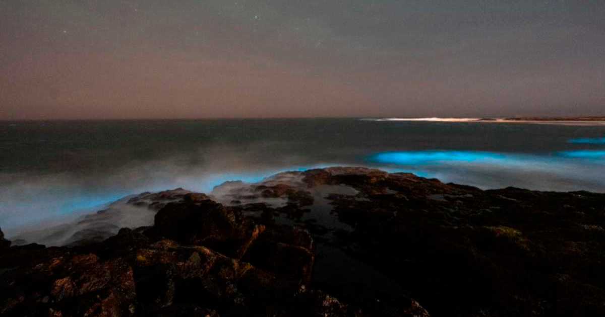 “vi como brillaban las olas», Lautaro frente a un espectáculos de la naturaleza (LV) thumbnail